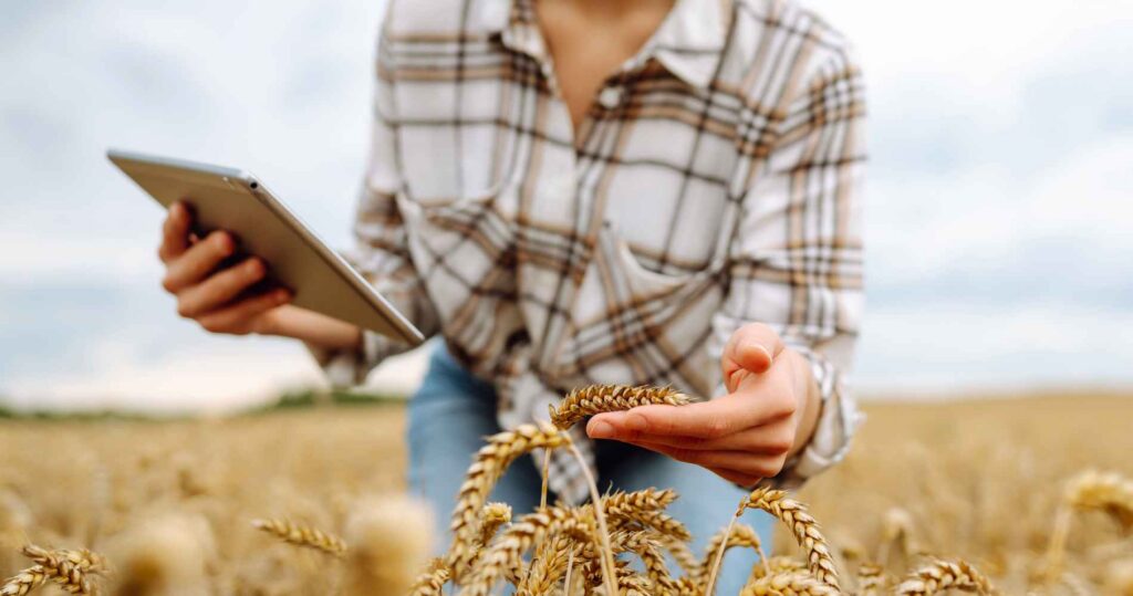 Waarom Datalabeling Onmisbaar Is voor AgTech en de Moderne Landbouwer